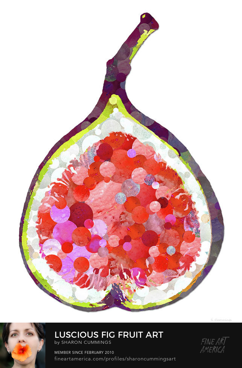 Fig Fruit Art
