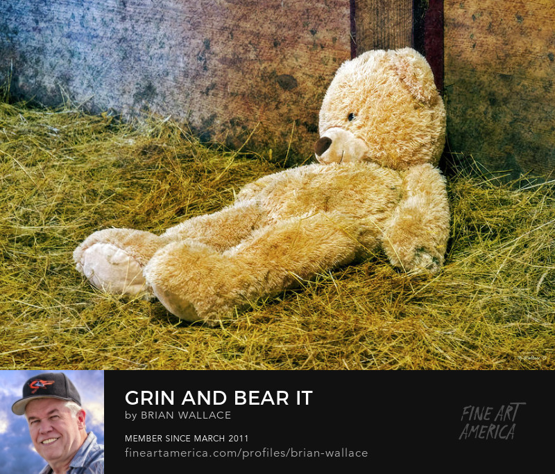 Grin And Bear It by Brian Wallace