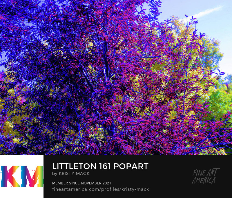 Littleton 161 PopArt by Kristy Mack