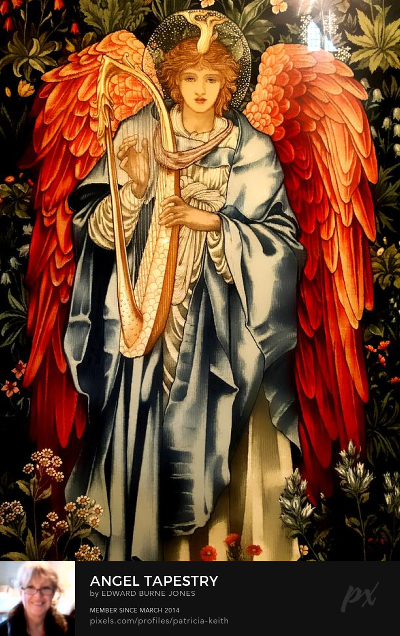 42732417&domainId=12