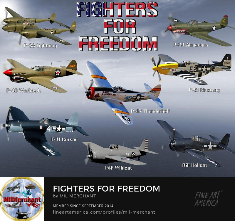 Fighters For Freedom