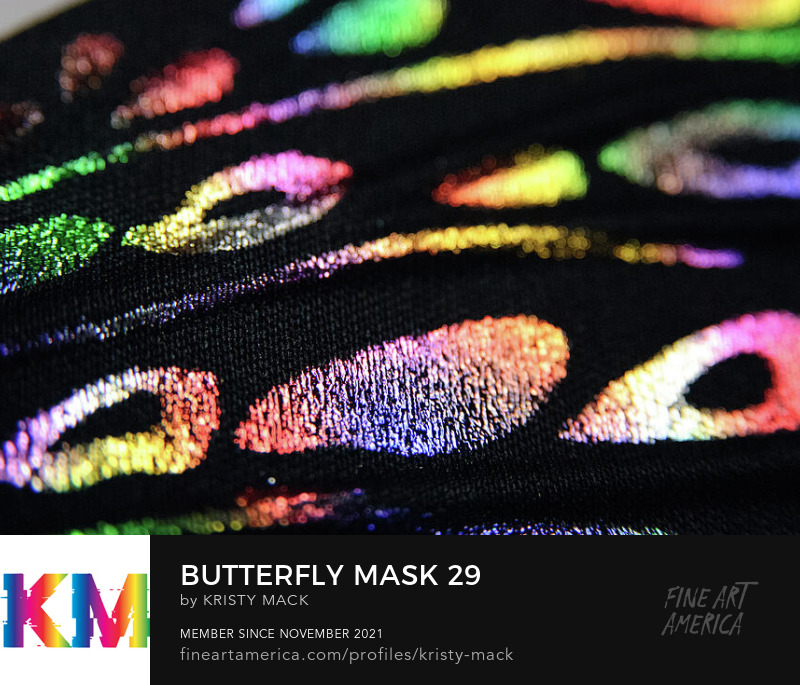 Butterfly Mask 29 by Kristy Mack