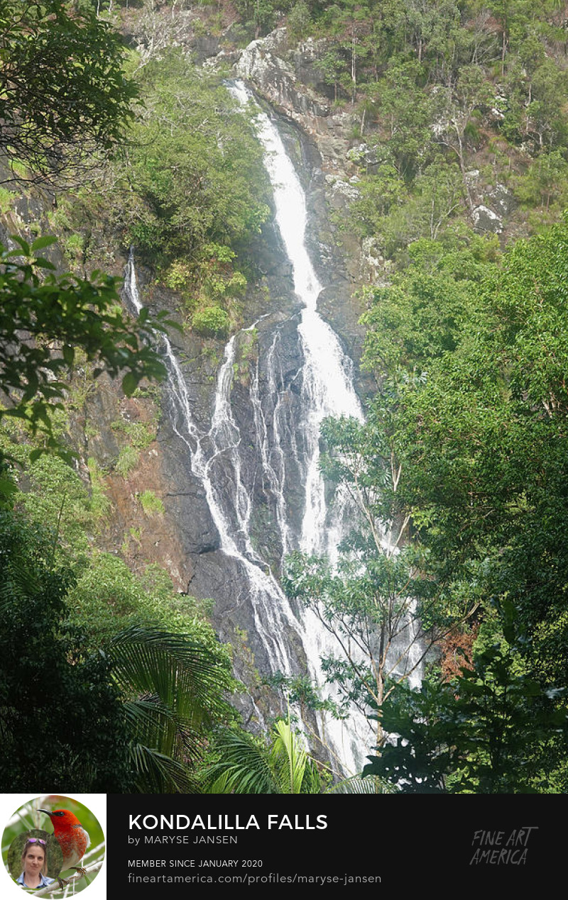 Kondalilla Falls by Maryse Jansen