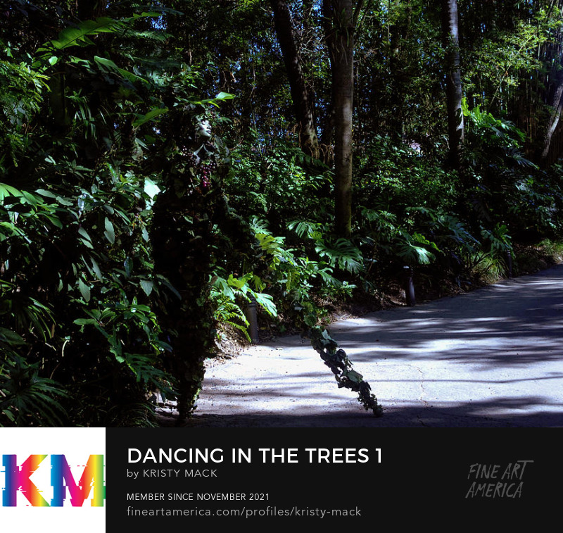 Dancing In The Trees 1 by Kristy Mack