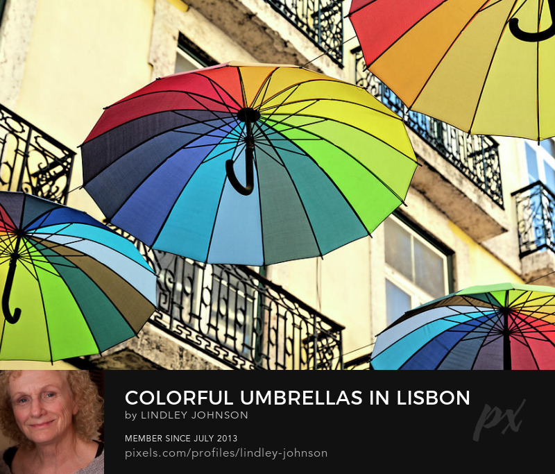colorful umbrellas in lisbon portugal photograph by lindley johnsons