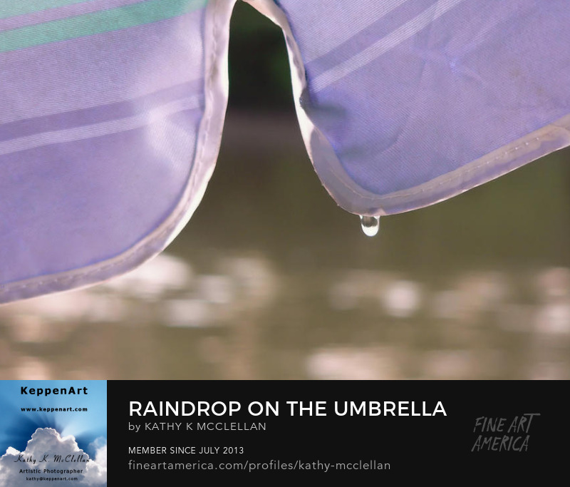 Raindrop On The Umbrella by Kathy K. McClellan