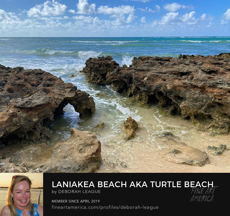 photography Laniakea Hawaii turtle beach ocean lava rocks by Rachel League