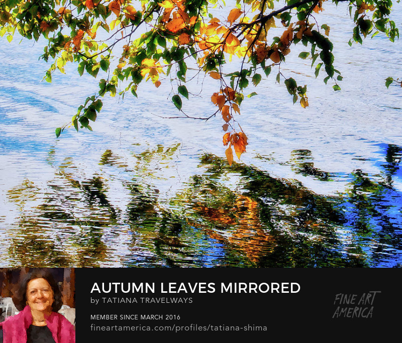 Autumn leaves mirrored in the water