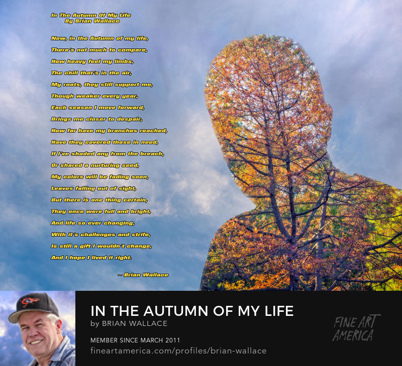 In The Autumn Of My Life by Brian Wallace