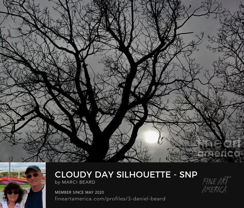 Cloudy Day Silhouette - SNP  ~~~  Photo Art by Marci Beard