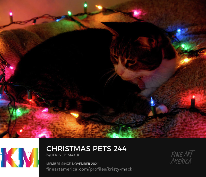 Christmas Pets 244 by Kristy Mack