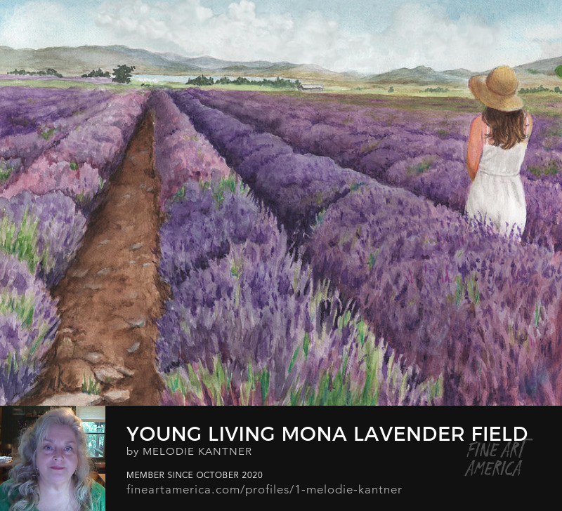 Young Living Mona Lavender Farm Painting