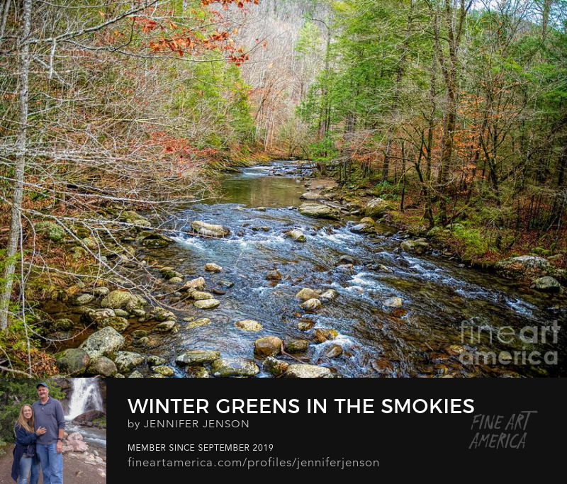 Winter Greens In The Smokies by Jennifer Jenson