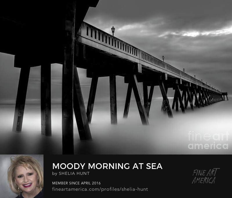 Moody Morning at Sea by Shelia Hunt