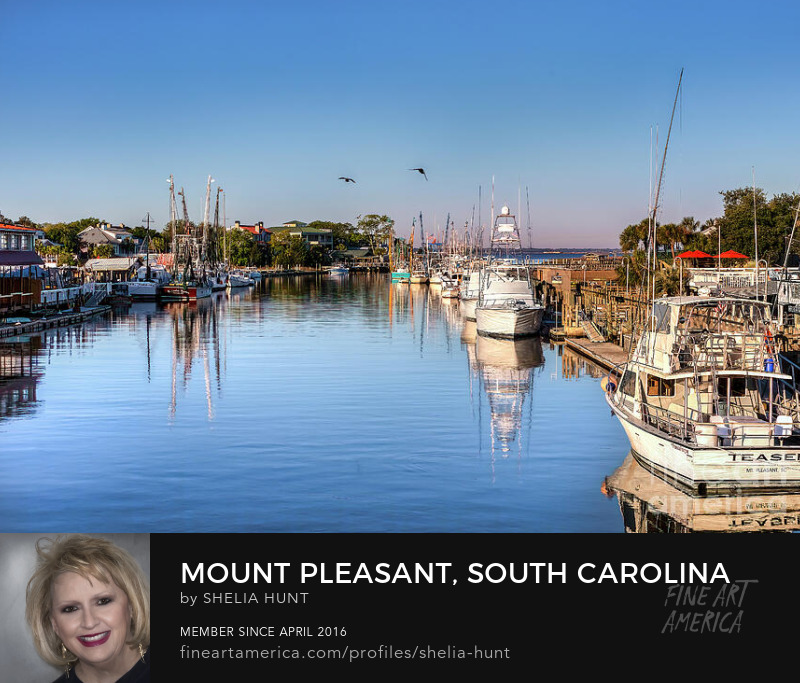 Mount Pleasant South Carolina by Shelia Hunt