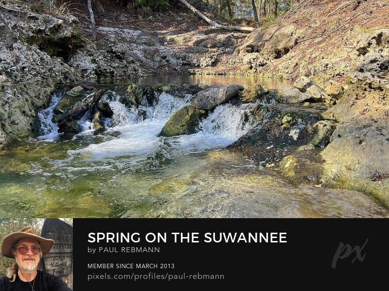 View online purchase options for Spring on the Suwannee by Paul Rebmann