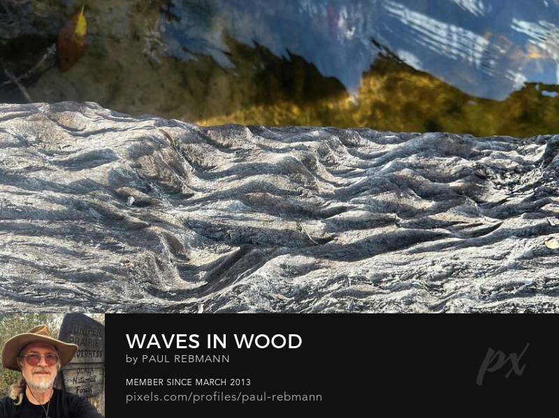 Waves in Wood by Paul Rebmann