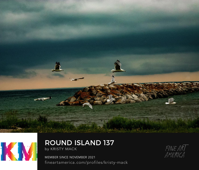 Round Island 137 by Kristy Mack