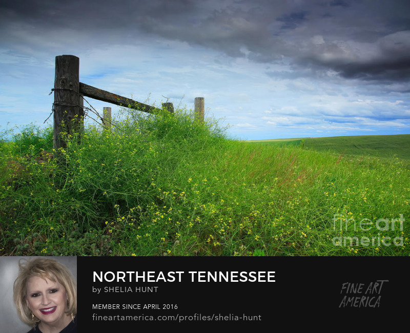 Northeast Tennessee in Springtime by Shelia Hunt