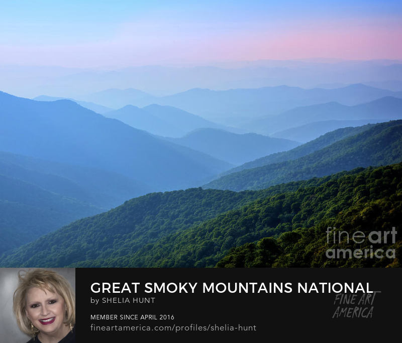 Great Smoky Mountains National Park by Shelia Hunt