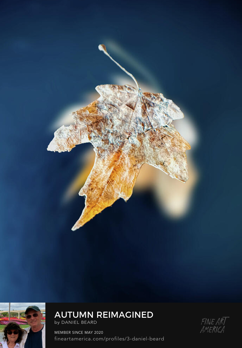 Autumn Reimagined  ~~~  Photo Art by Daniel Beard