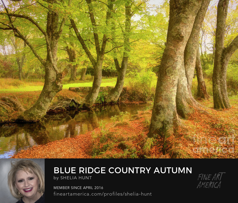 Blue Ridge Country Autumn by Shelia Hunt