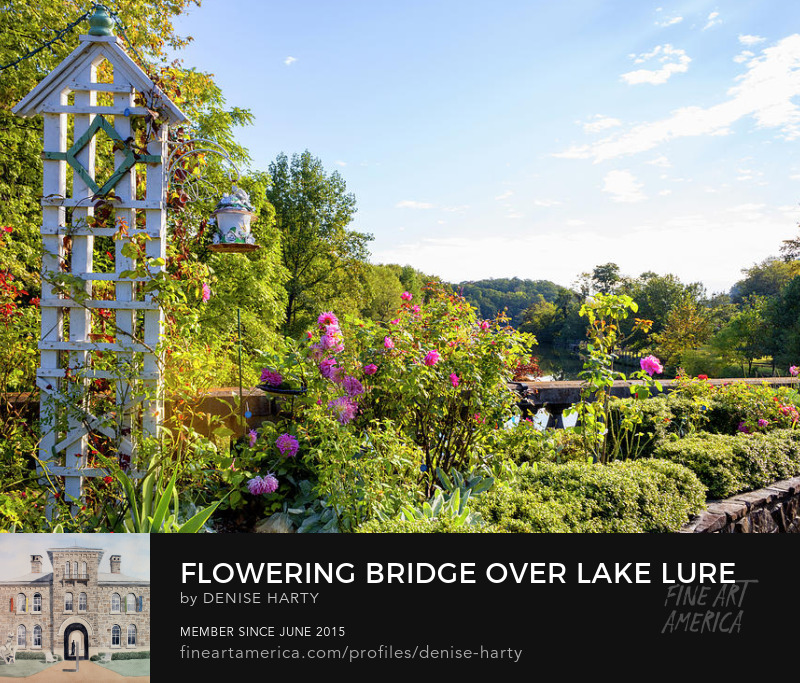 Flowering Bridge Over Lake Lure by Denise Harty