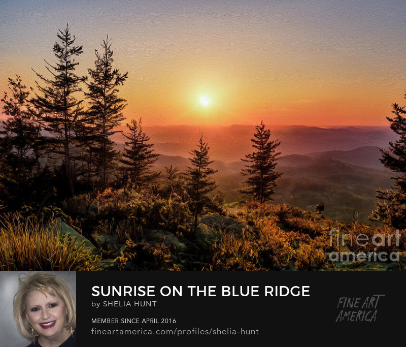Sunrise on the Blue Ridge Parkway by Shelia Hunt