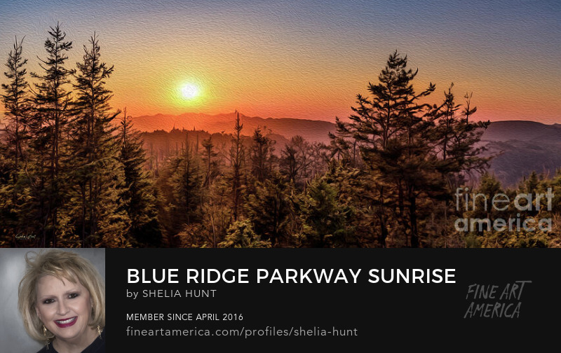 Blue Ridge Parkway Sunrise by Shelia Hunt