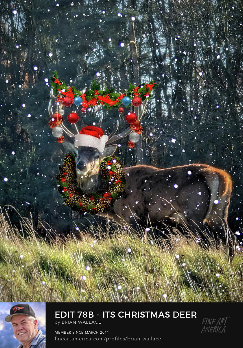 Edit 78b - Its Christmas Deer by Brian Wallace