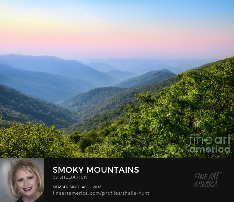 Smoky Mountains by Shelia Hunt