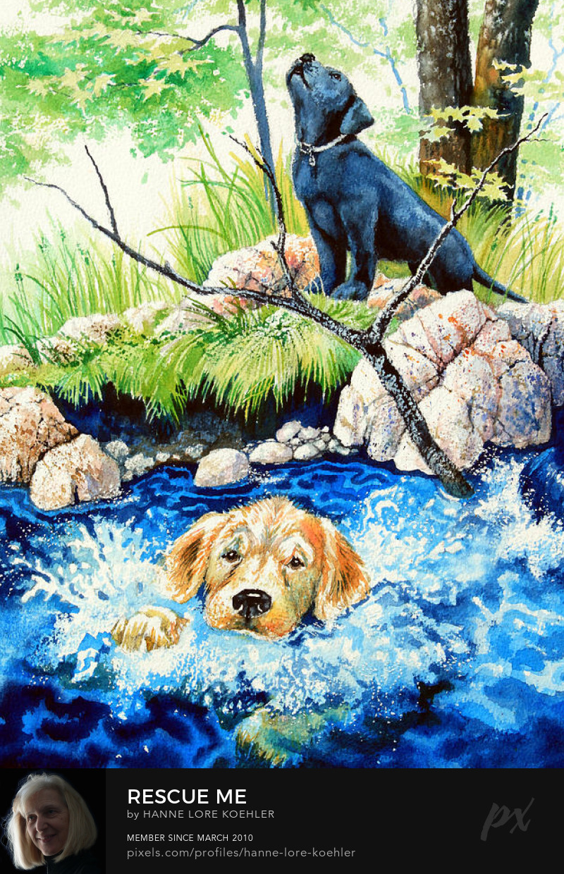 Retriever Puppy Story Illustration And Art Prints