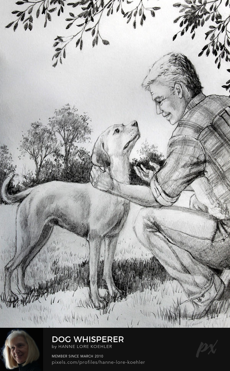 dog whisperer sketch and art prints