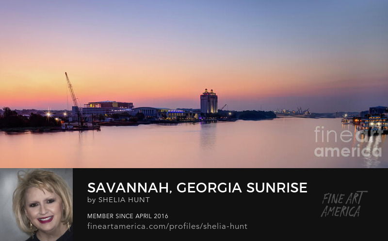 Savannah Georgia Sunrise by Shelia Hunt