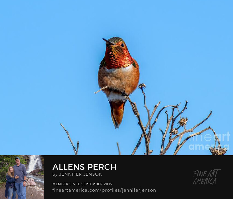 Allens Perch by Jennifer Jenson