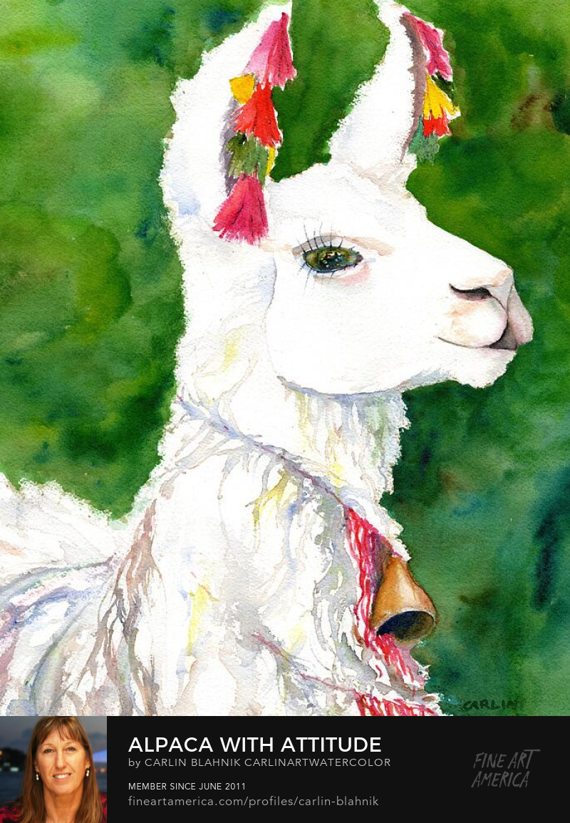 Alpaca Watercolor Art Prints by Carlin Blahnik