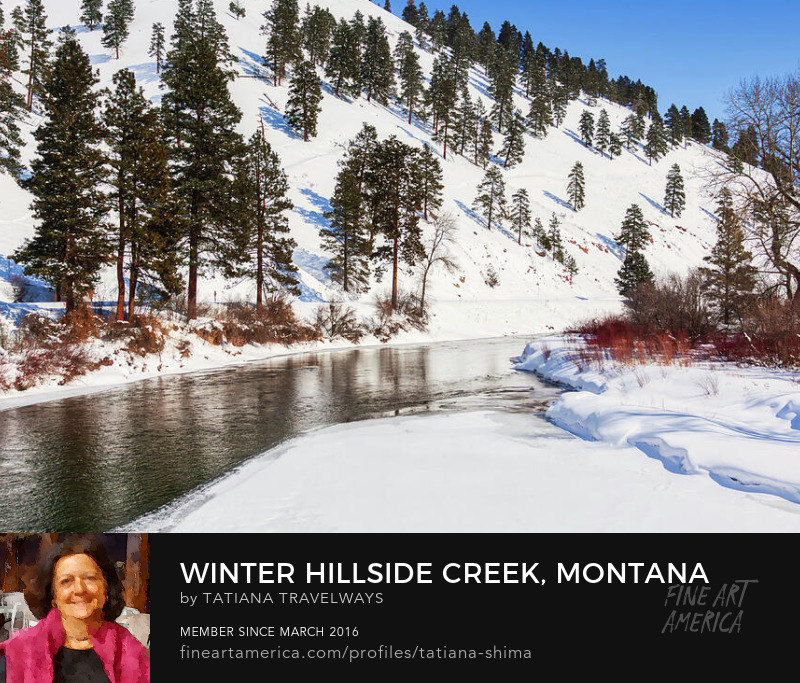 Winter hillside creek, Montana