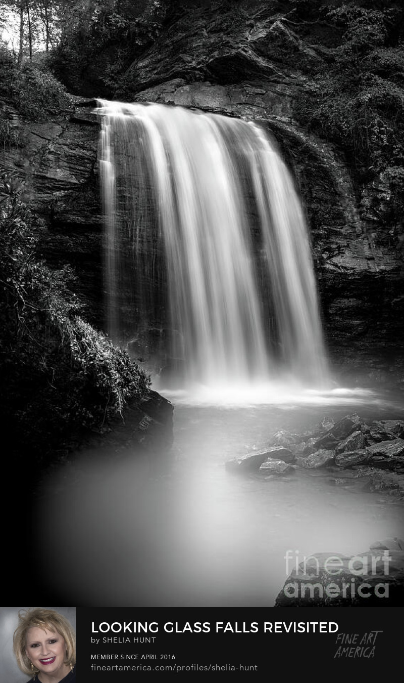 Looking Glass Falls Revisited by Shelia Hunt