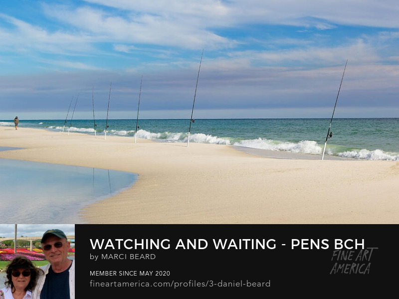Watching And Waiting - Pens Bch FL  ~~~  Photo art by Marci Beard