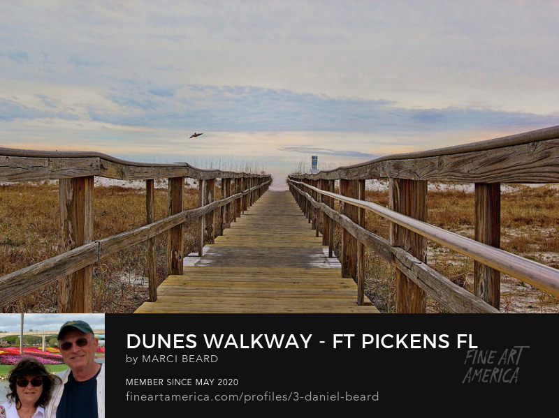 Dunes Walkway - Ft Pickens FL  ~~~  Photo Art by Marci Beard