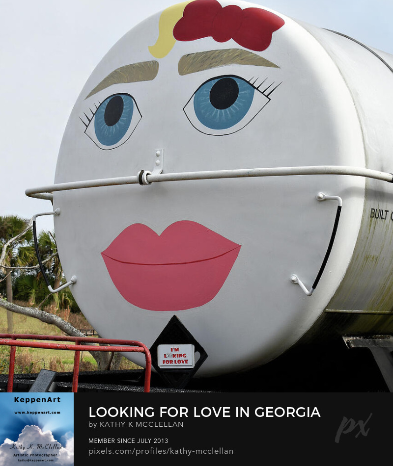 Looking For Love In Georgia by Kathy K. McClellan