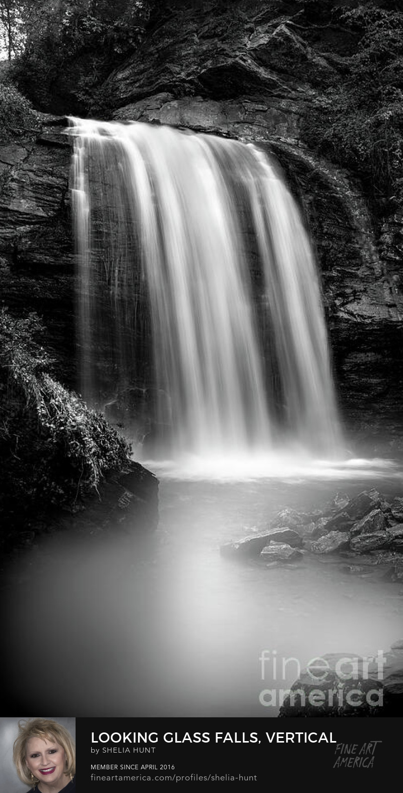 Looking Glass Falls vertical view by Shelia Hunt