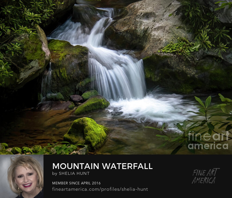 Mountain Waterfall by Shelia Hunt