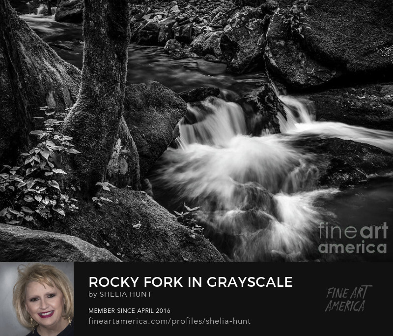 Rocky Fork in Grayscale by Shelia Hunt