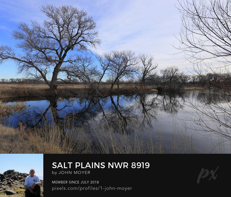 Reflections in marsh at Salt Plains National Wildlife Refuge in Alfalfa County, Oklahoma, United States on February 9, 2024