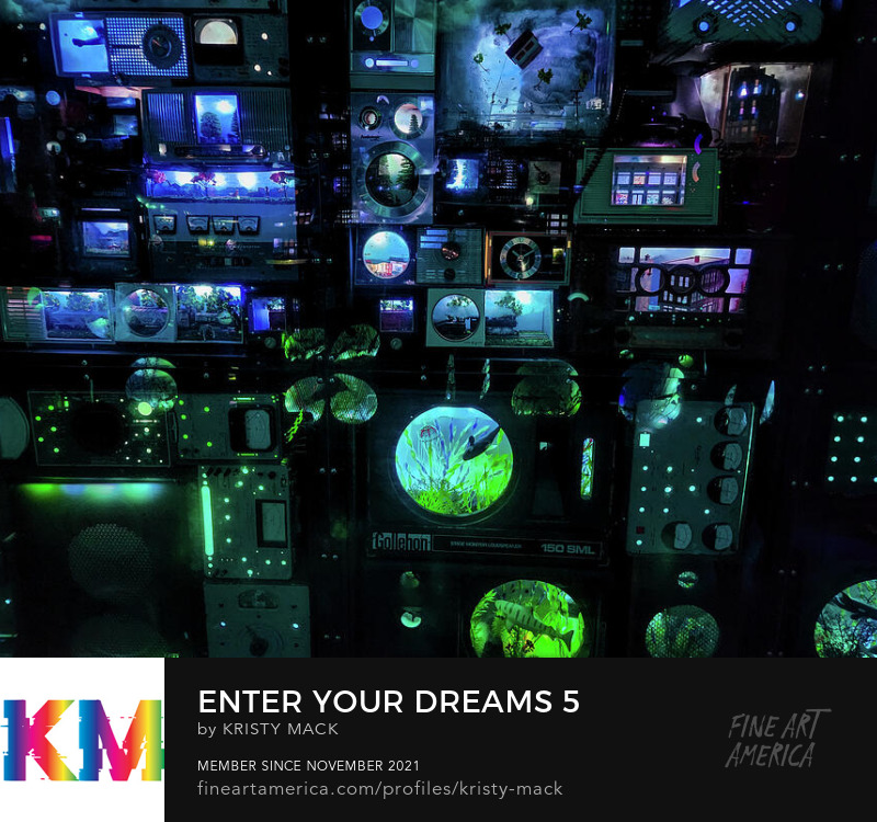Enter Your Dreams 5 by Kristy Mack