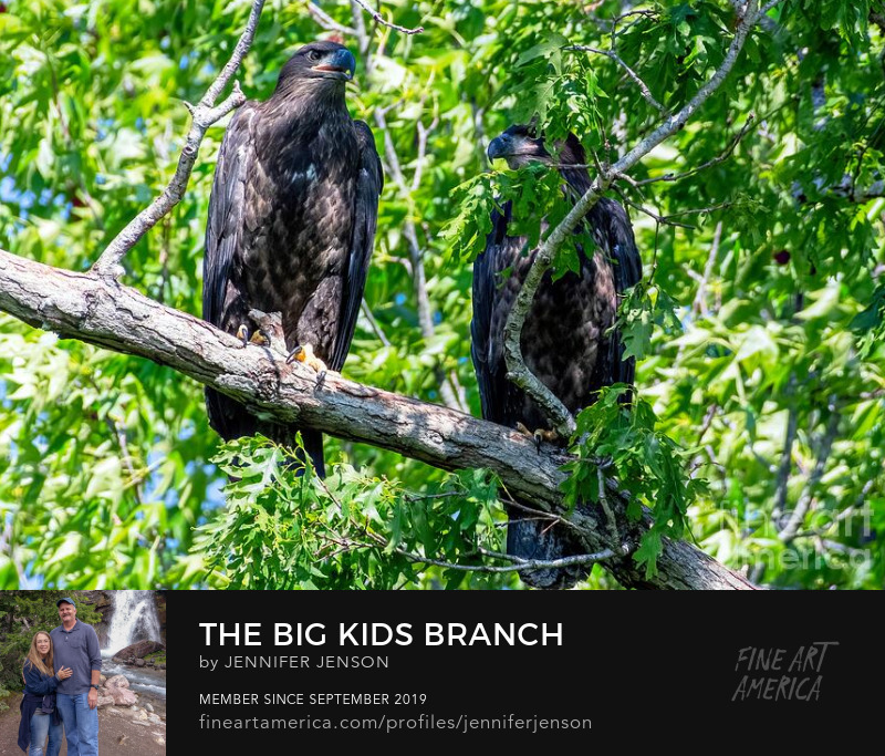 The Big Kids Branch by Jennifer Jenson