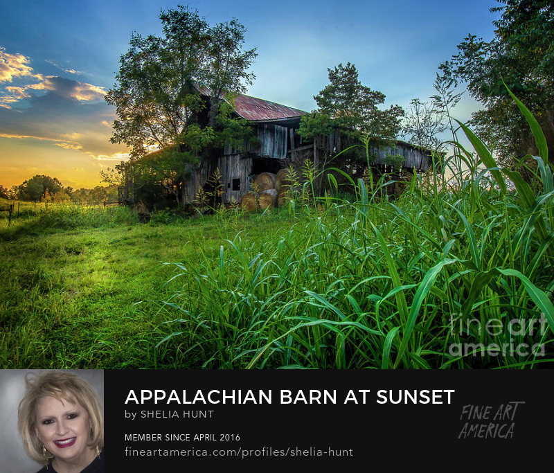 Appalachian Barn at Sunset by Shelia Hunt
