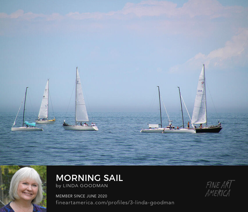 Morning Sail by Linda Goodman