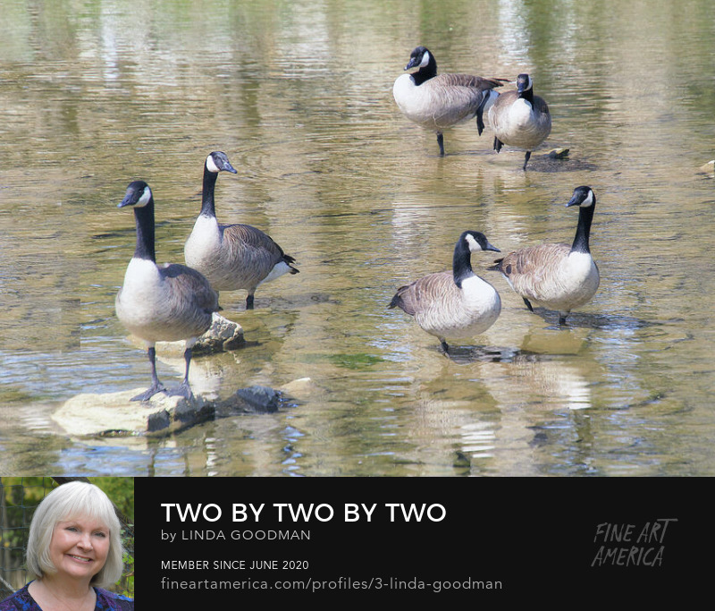 Two By Two By Two by Linda Goodman